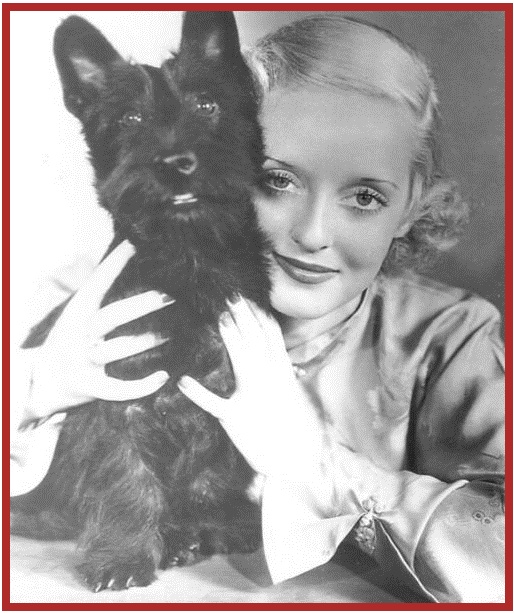 Vintage Photo Bettie Davis with her Scottie Dog. 